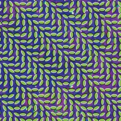 06_Animal_Collective_-_Merriweather_Post_Pavilion