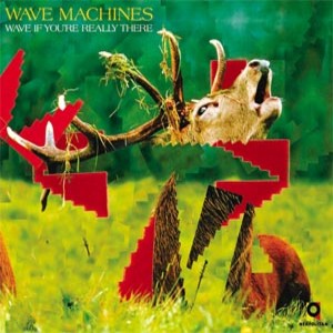 19_Wave_Machines_-_Wave_If_Youre_Really_There