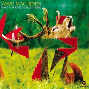 19_Wave_Machines_-_Wave_If_Youre_Really_There