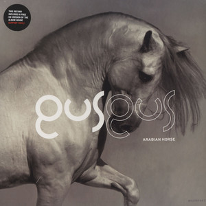 16_GusGus_-_Arabian_Horse