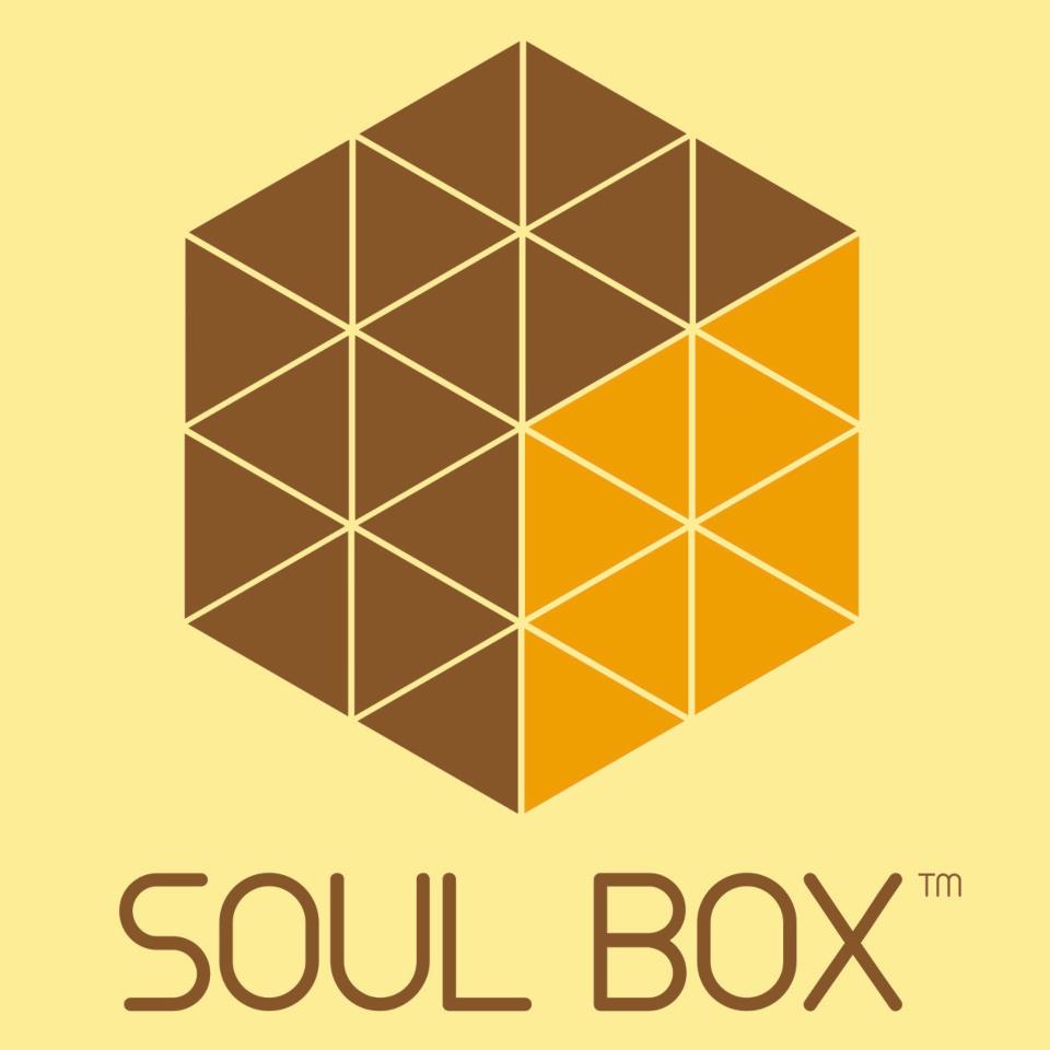 Soul Box case