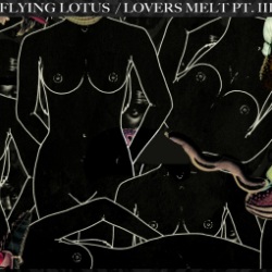 04_Flying_Lotus_Lovers_Melt_3