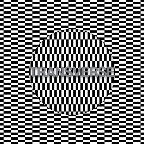 20_Carter_Tutti_Void_-_Transverse