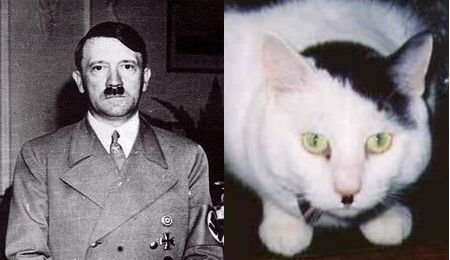 Ze_Dzermans_-_Kitler_meets_Meowseph_01