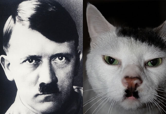 Ze_Dzermans_-_Kitler_meets_Meowseph_02