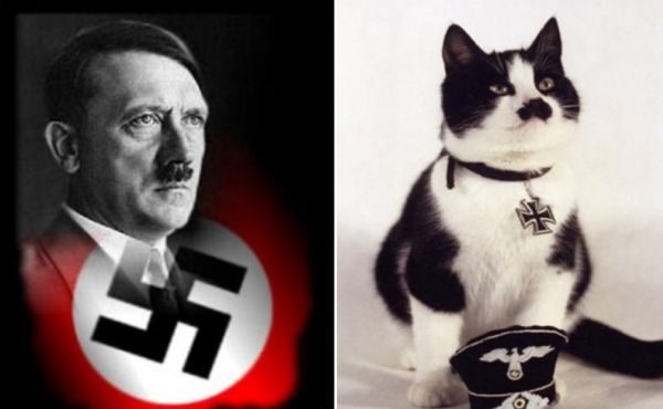 Ze_Dzermans_-_Kitler_meets_Meowseph_03