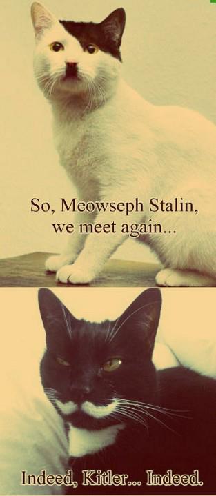 Ze_Dzermans_-_Kitler_meets_Meowseph_06