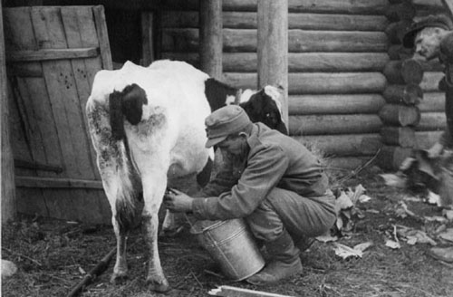 Ze_Dzermans_-_Baby_haben_ein_Temperament_01