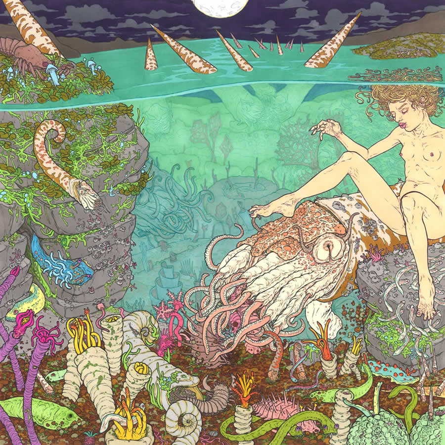 Mat_Brown_-_06_ordovician