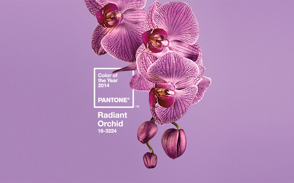 2014 metų spalva – Radiant Orchid