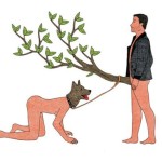 fayolleillustration10
