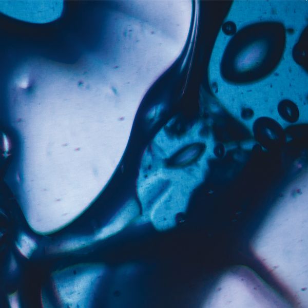 Abdulla_Rashim_-_Unanimity