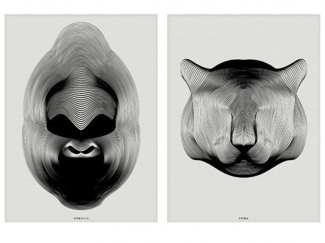 Andrea_Minini_-_Animals-Drawn-with-Moire-Patterns