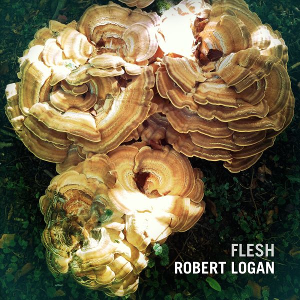 Robert_Logan_-_Flesh