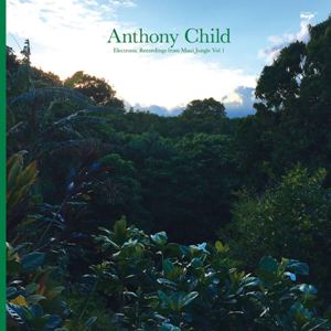 Anthony_Child_-_Electronic_Recordings_From_Maui_Jungle_Vol1
