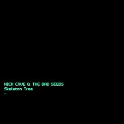 20_nick-cave_the-bad-seeds_-_skeleton-tree